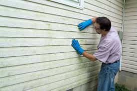 Best Historical Building Siding Restoration  in Bevil Oaks, TX